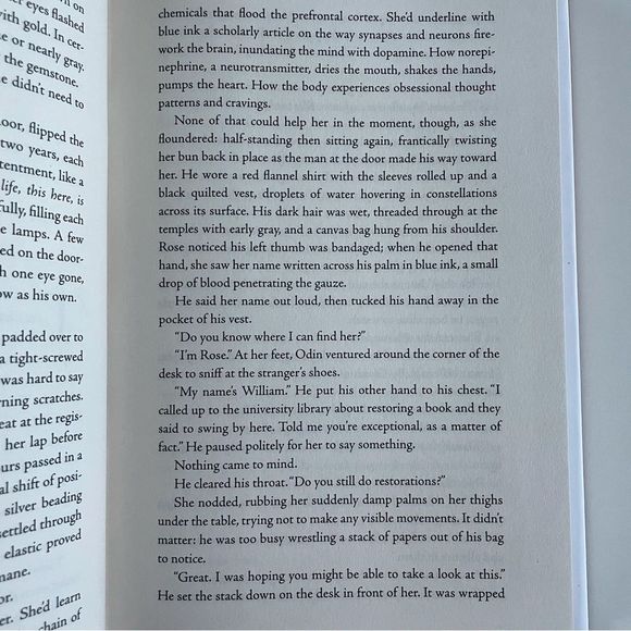 BOOK, Lost Diary of Venice, Margaux DeRoux NWT - Picture 8 of 14